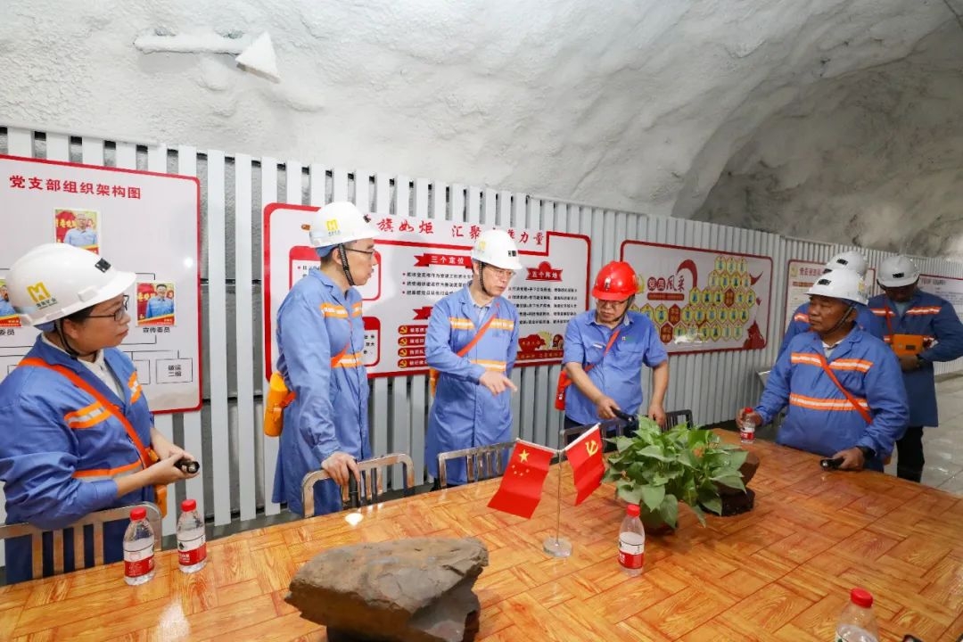 昌江縣委書記陳儒茂到海南礦業調研2_副本.jpg