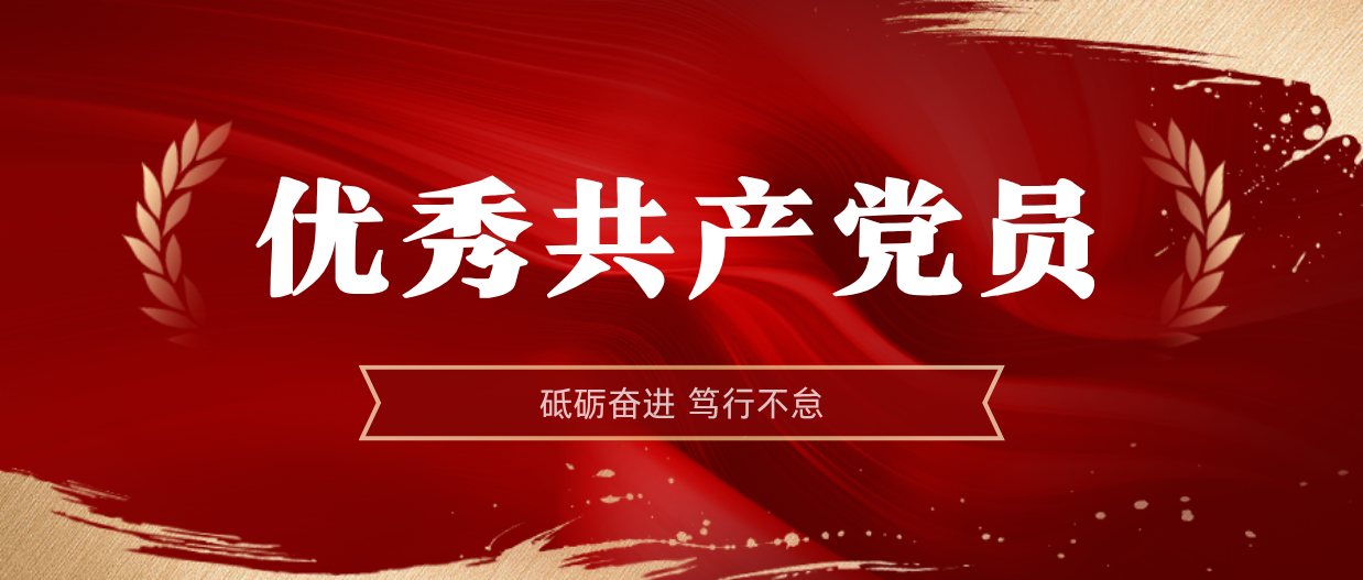 弘揚榜樣精神 | 海南礦業2024-2025年度優秀共產黨員